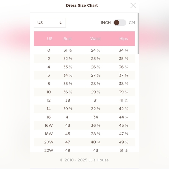 NWT JJ's House Black A-Line V-neck Chiffon Ruffle Dress Zip Womens Size 22 - Picture 12 of 13